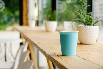 A blue paper cup with hot fresh coffee is standing on a wooden table in a cafe. The interior of the cafe with a Ripsalis cactus (twig) and other green plants. The view from the coffee shop.