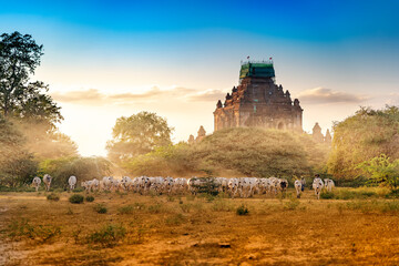 Bagan Myanmar Birmania