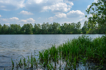 Natur Wasser Wald Bäume