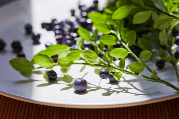  Twig of fresh blueberries on a white plate in natural lights with beautiful sheadows