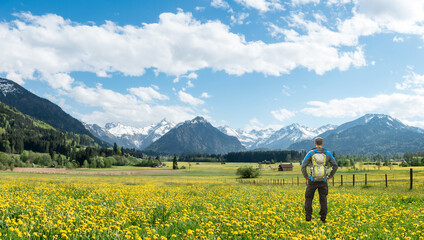 Hiker with Backpack standing on Hawkbit Flower meadow and View to panoramic Snow covered mountains with clouds and blue sky . Bavaria, Alps, Oberstdorf, Rubi, Allgau, Germany.