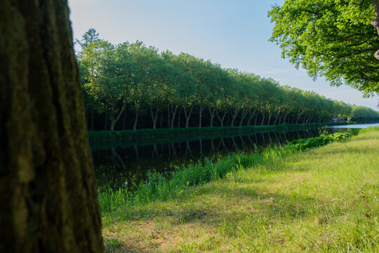 Emsland Bilder Durchsuchen 3,412 Archivfotos, und