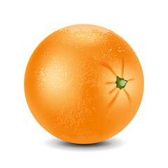 Fresh orange isolated