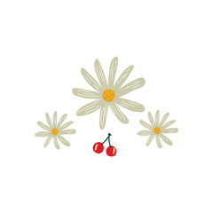 hand drawn daisy flowers with cherry vector illustration.