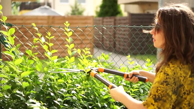 The girl holds clippers in her hands and pruning branches. Garden work, cutting bushes. Close portrait of a lovely young woman in sunglasses in her garden