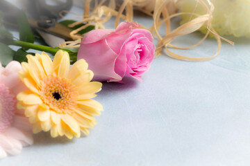 Cut Flower Close Up with Pink Rose and Daisy