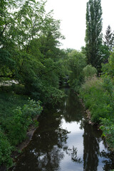 Fototapeta na wymiar Wald Wasser Fluss Emsland