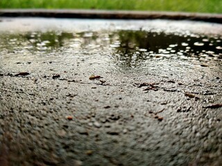 rain drops on the window