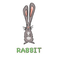 cute rabbit animal in frame circular illustration. Vector illustration