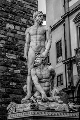 statue of david florence