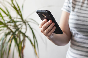 Cropped shot view of woman's hands holding smartphone Girl using mobil phone. Female reading text message. Blurred house plant on background.
