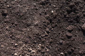 Chernozem type of soil, background texture