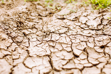 Texture of cracked earth, global warming, erosion, Space for text. Selective focus.