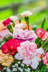 Obraz na płótnie Canvas Beautiful bouquet of very brightly coloured carnations