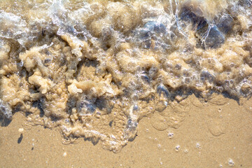 Wet sand and adriatic sea. Pineto, Abruzzo/Italy.