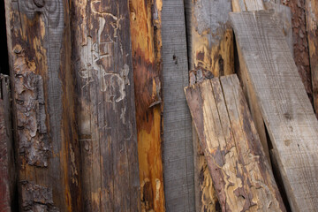 Natural texture of old boards with traces of woodworm beetles