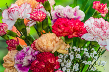 Beautiful bouquet of very brightly coloured carnations