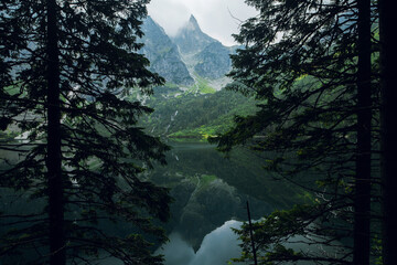 Beautiful view of foggy mountains cover by dark clouds and green forest with a reflection in a lake. Stony shore. Morskie Oko. Marine Eye. High Tatras, Zakopane © WellStock