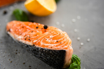 Salmon fillet piece with lemon, salt