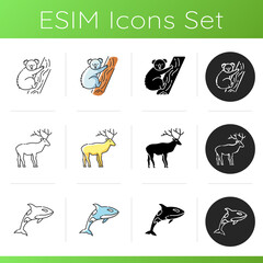 Various animals icons set. Linear, black and RGB color styles. Common forest wildlife and exotic fauna. Cute koala bear, killer whale and majestic deer. Isolated vector illustrations
