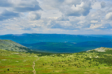Naklejka premium Mountain forest landscape with coniferous forests in summer