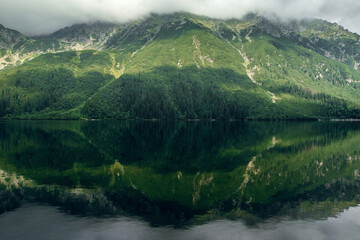 Mysterious foggy green mountain forrest and hills with a reflection on the lake, morskie Oko in High Tatras, Zakopane © WellStock