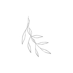 Black and white line art decoration of branch with leaves.  Vector isolated clipart. Minimal monochrome hand drawing botanical design. Contour engraving foliage