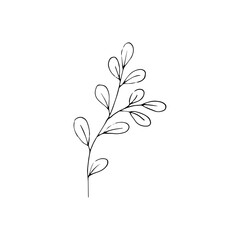 Black and white line art decoration of leaves.  Vector isolated clipart. Minimal monochrome hand drawing botanical design. Contour engraving foliage