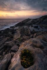 Obraz premium Jaizkibel mountain coast, next to Hondarribia, Basque Country. 