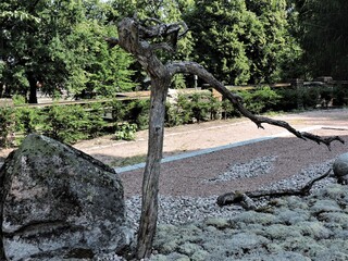 tree and stone in the park, Helsinki