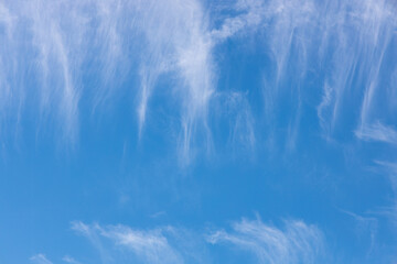 Bright blue sky with feather white cloud.