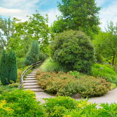 City park with beautiful trees, shrubs and staircase.