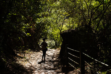 Fototapeta premium Asian woman hiking at the outdoor