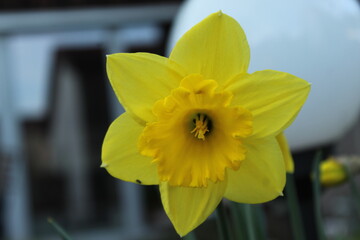 Wehmutstropfen in der Stadt