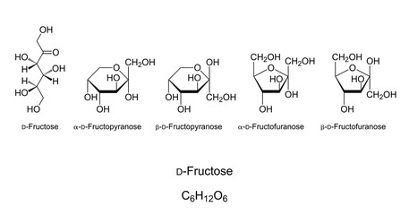 Fructose, fruit sugar, monosaccharide, chemical structure. Simple sugar. Natta projection of open-chain D-Fructose. Haworth projection of four cyclic isomers with pyranose and furanose rings. Vector.