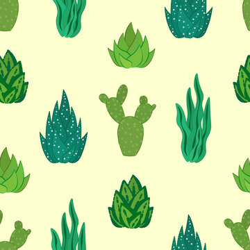 cactus and succulent seamless pattern pattern pattern