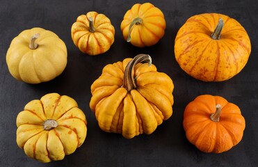 Squash and pumpkins.