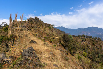 Himalayan Landscape