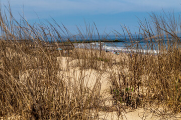 Obraz premium Delaware Ocean Sea Scape