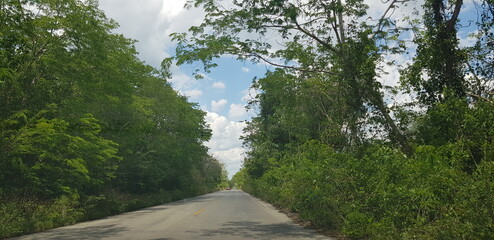 Vacations