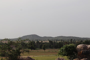 rock,tree,sky ,mountain,