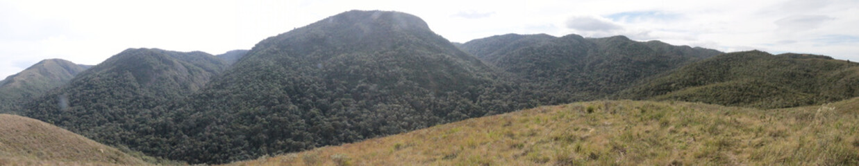 Toca da On&ccedil;a Pindamonhangaba