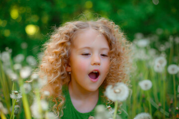 a little curly-haired girl in a green dress blows on dandelions in the spring in the park