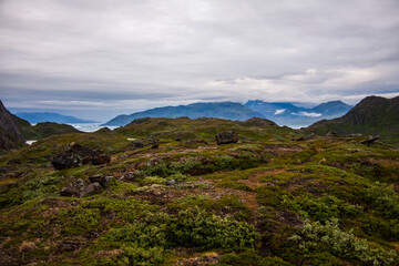 Naklejka premium Green mountains in the fiords of Narsaq, South West Greenland
