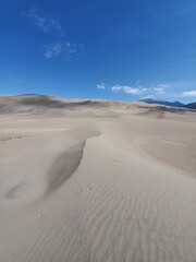 Sand Dune landscape