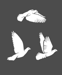 Doves, Flying white pigeon set