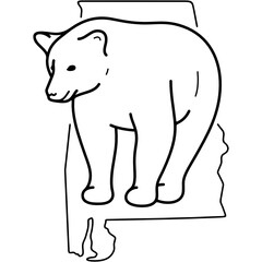 Black Bear