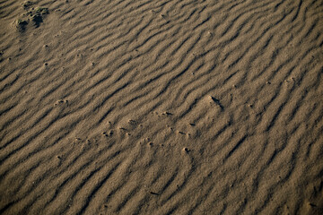  Sand texture. Sandy beach for background. Top view