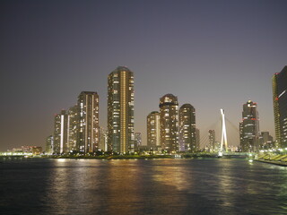 Fototapeta na wymiar 永代橋から見た佃島の夜景
