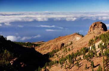 Sunrise light over El Teide National Park, Tenerife, Canary Islands, Spain